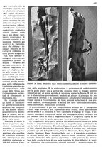 giornale/RAV0108470/1936/unico/00000735