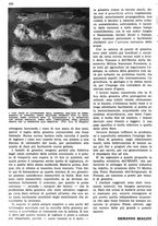 giornale/RAV0108470/1936/unico/00000764