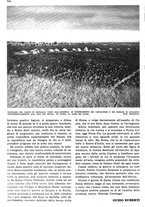 giornale/RAV0108470/1936/unico/00000836