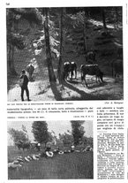 giornale/RAV0108470/1936/unico/00000852