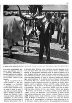 giornale/RAV0108470/1936/unico/00000861