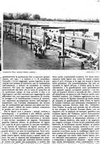 giornale/RAV0108470/1938/unico/00000043