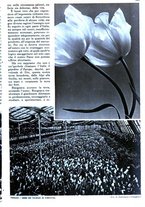 giornale/RAV0108470/1938/unico/00000225
