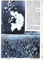 giornale/RAV0108470/1938/unico/00000226