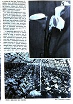 giornale/RAV0108470/1938/unico/00000227