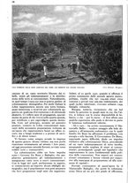 giornale/RAV0108470/1939/unico/00000044