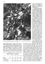 giornale/RAV0108470/1939/unico/00000336