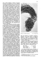 giornale/RAV0108470/1939/unico/00000339