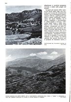 giornale/RAV0108470/1939/unico/00000520