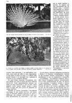 giornale/RAV0108470/1939/unico/00000534