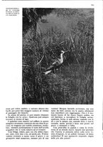 giornale/RAV0108470/1939/unico/00000549