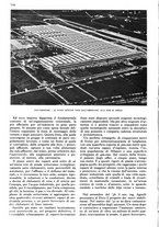 giornale/RAV0108470/1939/unico/00000786