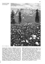 giornale/RAV0108470/1939/unico/00000941