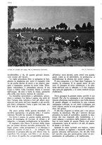 giornale/RAV0108470/1939/unico/00001150