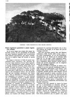 giornale/RAV0108470/1939/unico/00001230