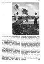 giornale/RAV0108470/1940/unico/00000151