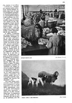 giornale/RAV0108470/1940/unico/00000287