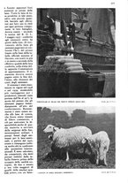 giornale/RAV0108470/1940/unico/00000291