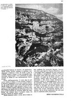 giornale/RAV0108470/1940/unico/00000401