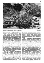 giornale/RAV0108470/1941/unico/00000053