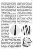 giornale/RAV0108470/1941/unico/00000063