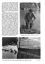 giornale/RAV0108470/1941/unico/00000075