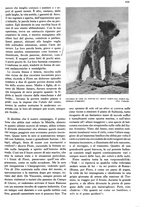 giornale/RAV0108470/1941/unico/00000941