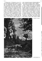 giornale/RAV0108470/1941/unico/00001056