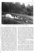 giornale/RAV0108470/1941/unico/00001151