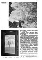 giornale/RAV0108470/1941/unico/00001231