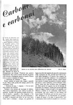 giornale/RAV0108470/1941/unico/00001265