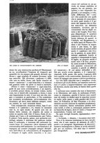 giornale/RAV0108470/1941/unico/00001272