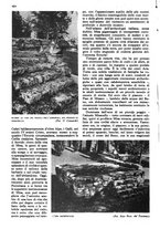 giornale/RAV0108470/1943/unico/00000506