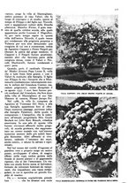 giornale/RAV0108470/1946/unico/00000167