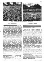 giornale/RAV0108470/1946/unico/00000291