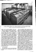 giornale/RAV0108470/1946/unico/00000333