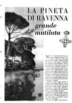 giornale/RAV0108470/1946/unico/00000369