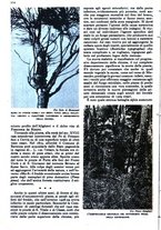 giornale/RAV0108470/1946/unico/00000374