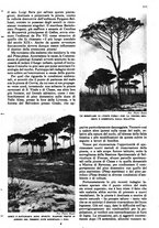 giornale/RAV0108470/1946/unico/00000375