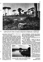 giornale/RAV0108470/1946/unico/00000377