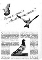 giornale/RAV0108470/1946/unico/00000391