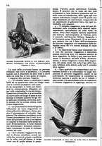 giornale/RAV0108470/1946/unico/00000396