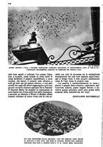 giornale/RAV0108470/1946/unico/00000398