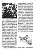 giornale/RAV0108470/1946/unico/00000490