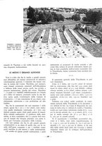 giornale/RAV0109451/1933/unico/00000159