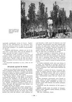 giornale/RAV0109451/1933/unico/00000171