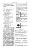 giornale/RAV0142821/1896/unico/00000185