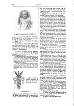giornale/RAV0142821/1899/unico/00000382
