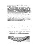 giornale/RAV0143124/1931/unico/00000324