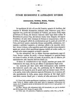 giornale/RAV0145862/1876/v.42/00000096